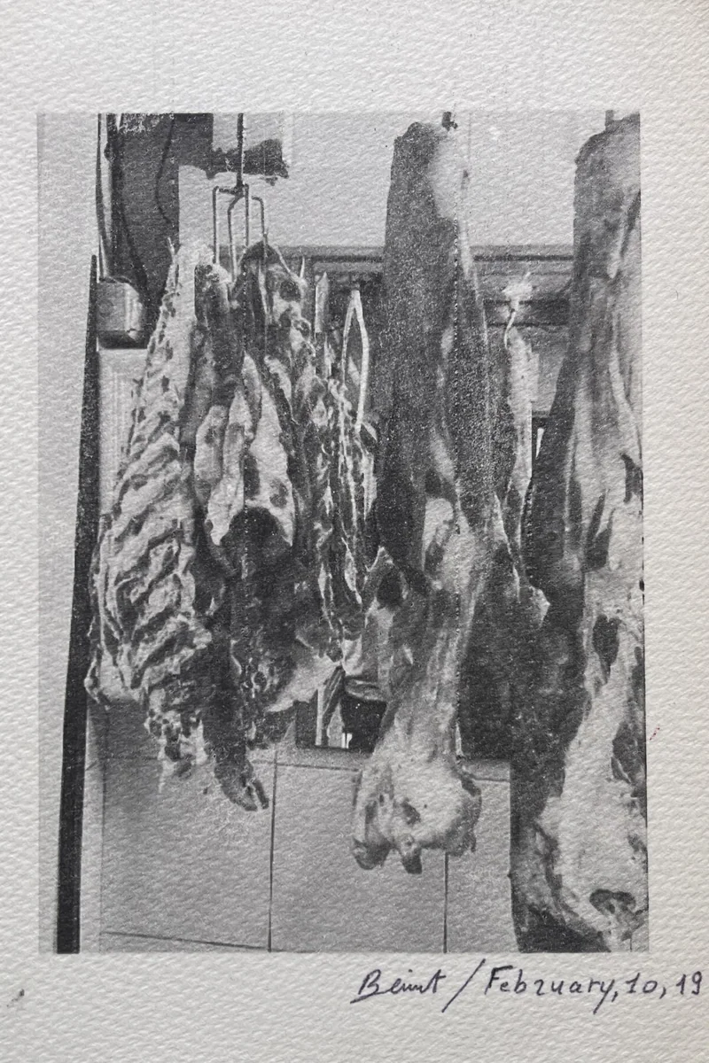 Meat Studies, 2019