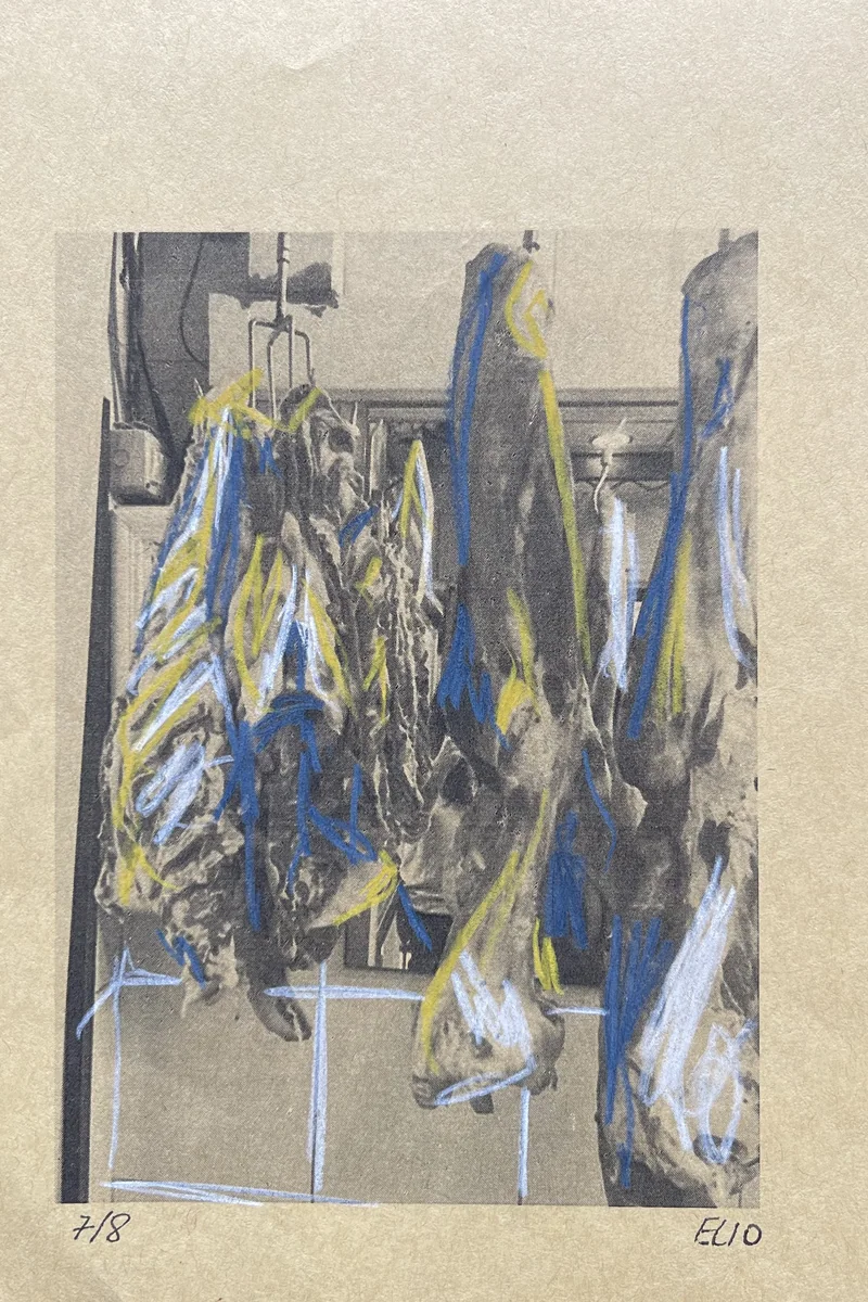Meat Studies, 2019